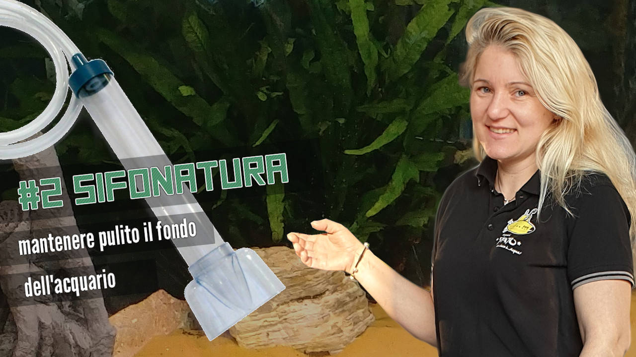 Copertina video La sifonatura