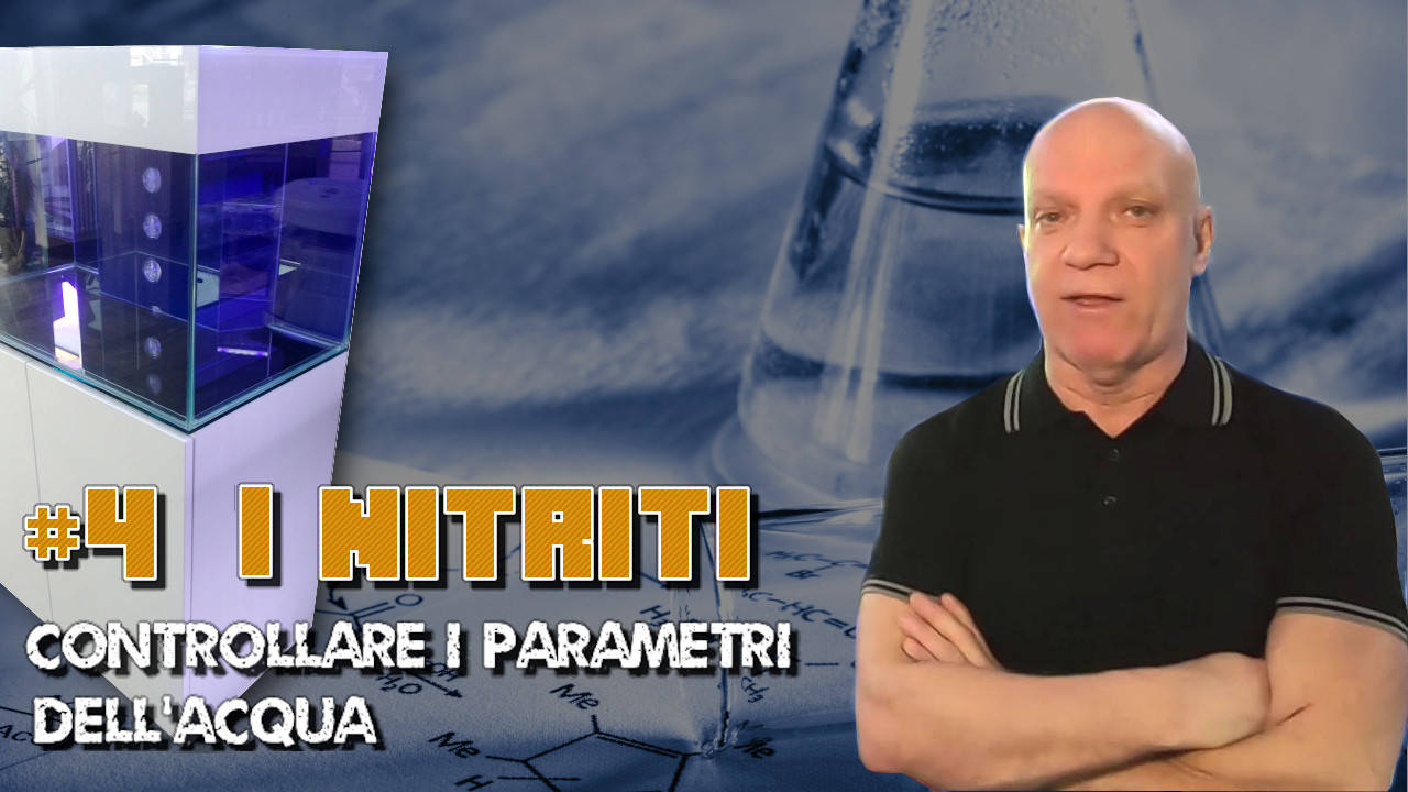 Copertina video I nitriti