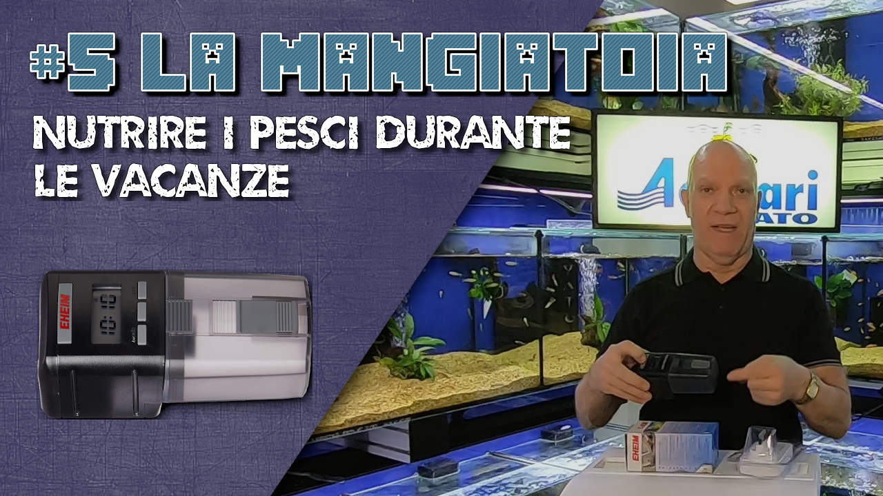 Copertina video La mangiatoia
