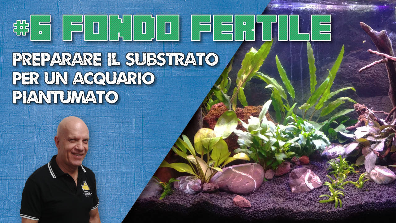 Copertina video Fondo fertile