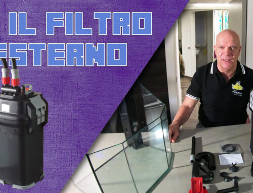 Il filtro esterno – una breve guida pratica